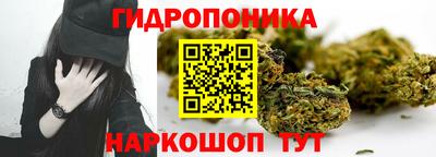 гидропоника Кингисепп