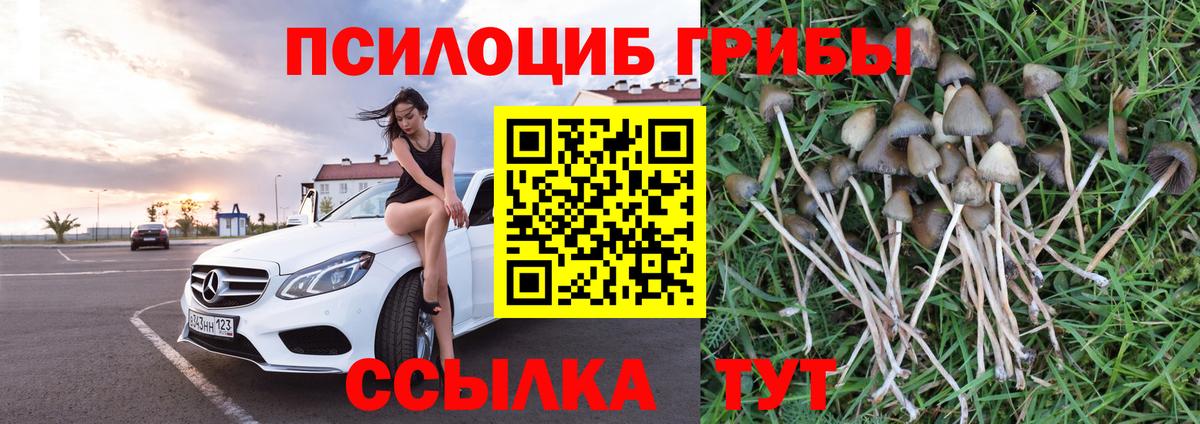 Якутск  Галлюциногенные грибы Magic Shrooms  Вход с VPN 